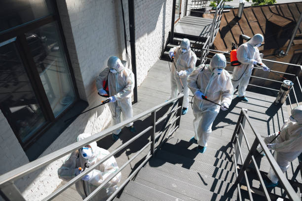 Best Industrial Mold Remediation  in North Catasauqua, PA
