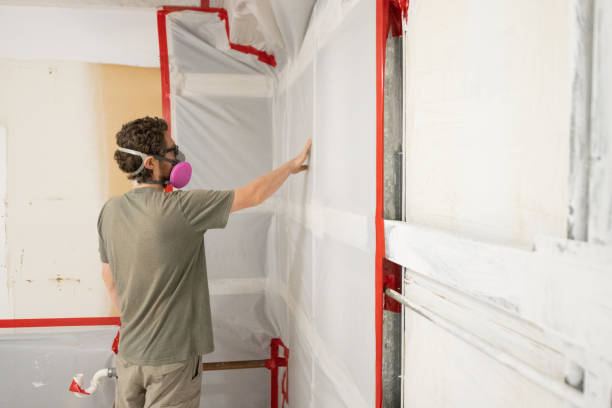 Best Mold Damage Restoration  in North Catasauqua, PA