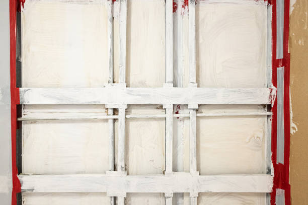 Best Asbestos and Lead Testing During Mold Inspection  in North Catasauqua, PA