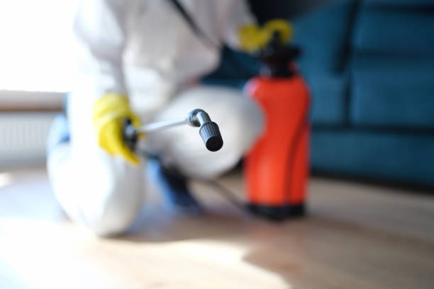 Best Air Quality Testing for Mold Spores  in North Catasauqua, PA