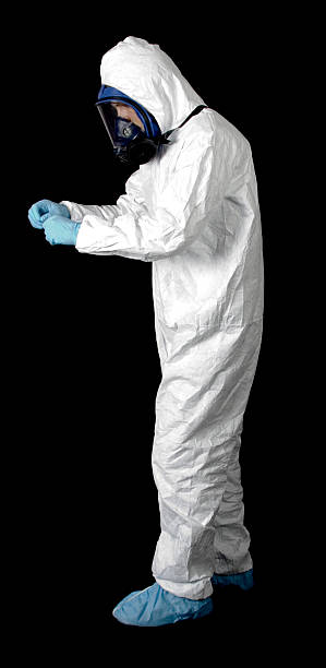 Asbestos and Lead Testing During Mold Inspection in North Catasauqua, PA