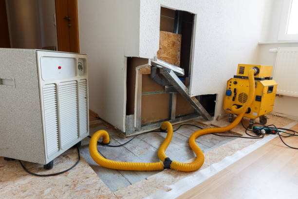 Best Asbestos and Lead Testing During Mold Inspection  in North Catasauqua, PA