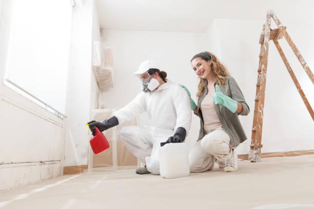 Trusted North Catasauqua, PA Mold Removal Experts